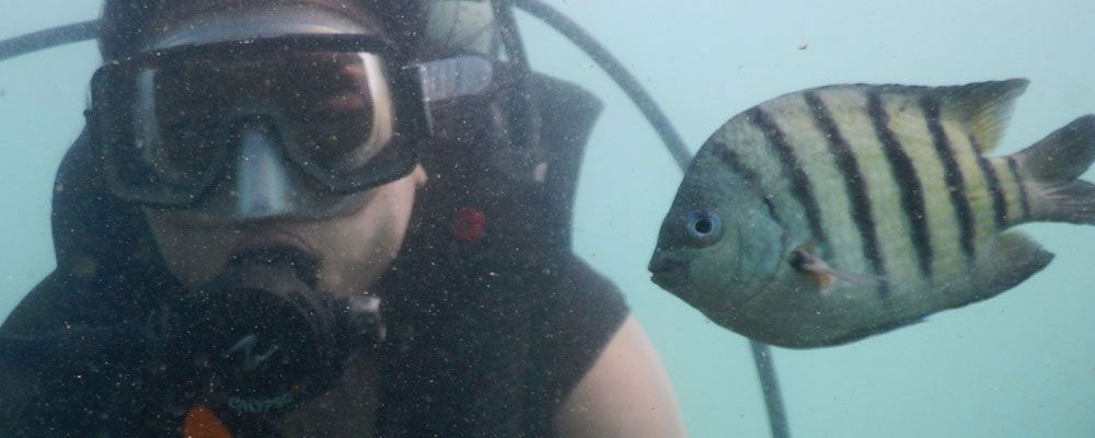 SCUBA Diving in Tarkarli