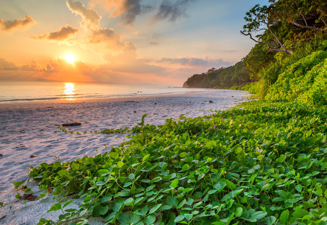 Tarkarli Beach